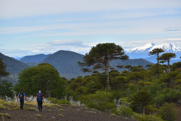 Trekking Mirador el volcán + Termas geométricas