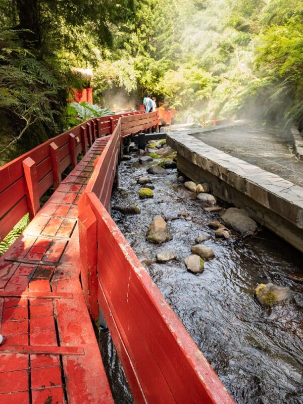 Trekking Mirador el volcán + Termas geométricas - Imagen 4